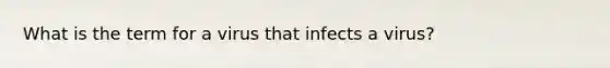 What is the term for a virus that infects a virus?