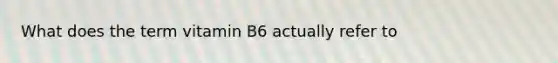 What does the term vitamin B6 actually refer to