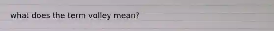 what does the term volley mean?