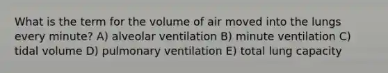 What is the term for the volume of air moved into the lungs every minute? A) alveolar ventilation B) minute ventilation C) tidal volume D) pulmonary ventilation E) total lung capacity