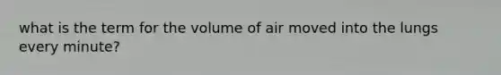 what is the term for the volume of air moved into the lungs every minute?