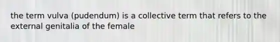 the term vulva (pudendum) is a collective term that refers to the external genitalia of the female