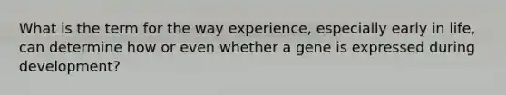 What is the term for the way experience, especially early in life, can determine how or even whether a gene is expressed during development?