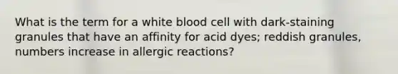 What is the term for a white blood cell with dark-staining granules that have an affinity for acid dyes; reddish granules, numbers increase in allergic reactions?