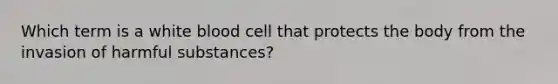 Which term is a white blood cell that protects the body from the invasion of harmful substances?