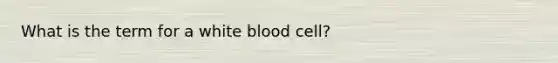 What is the term for a white blood cell?