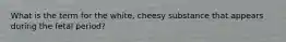 What is the term for the white, cheesy substance that appears during the fetal period?