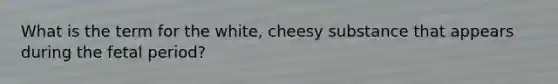 What is the term for the white, cheesy substance that appears during the fetal period?