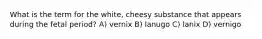 What is the term for the white, cheesy substance that appears during the fetal period? A) vernix B) lanugo C) lanix D) vernigo