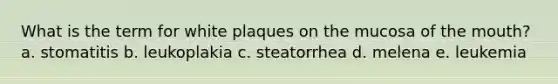 What is the term for white plaques on the mucosa of <a href='https://www.questionai.com/knowledge/krBoWYDU6j-the-mouth' class='anchor-knowledge'>the mouth</a>? a. stomatitis b. leukoplakia c. steatorrhea d. melena e. leukemia