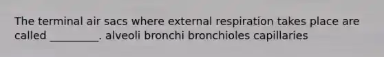 The terminal air sacs where external respiration takes place are called _________. alveoli bronchi bronchioles capillaries