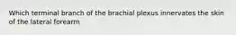 Which terminal branch of the brachial plexus innervates the skin of the lateral forearm