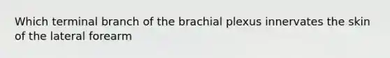 Which terminal branch of the brachial plexus innervates the skin of the lateral forearm