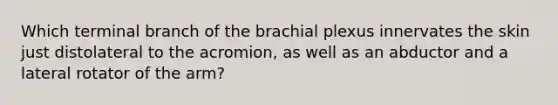 Which terminal branch of the brachial plexus innervates the skin just distolateral to the acromion, as well as an abductor and a lateral rotator of the arm?