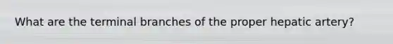 What are the terminal branches of the proper hepatic artery?