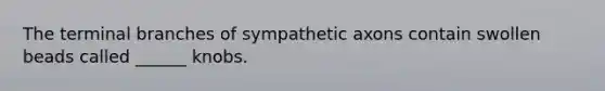 The terminal branches of sympathetic axons contain swollen beads called ______ knobs.