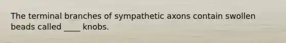 The terminal branches of sympathetic axons contain swollen beads called ____ knobs.