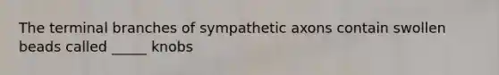 The terminal branches of sympathetic axons contain swollen beads called _____ knobs