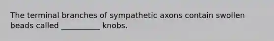 The terminal branches of sympathetic axons contain swollen beads called __________ knobs.