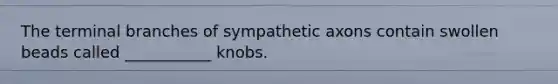 The terminal branches of sympathetic axons contain swollen beads called ___________ knobs.