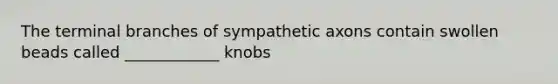 The terminal branches of sympathetic axons contain swollen beads called ____________ knobs