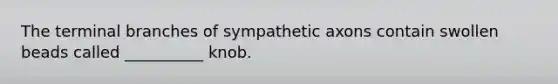 The terminal branches of sympathetic axons contain swollen beads called __________ knob.