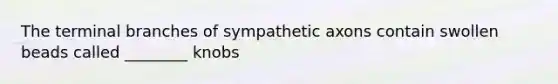 The terminal branches of sympathetic axons contain swollen beads called ________ knobs