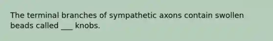 The terminal branches of sympathetic axons contain swollen beads called ___ knobs.