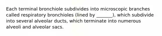 Each terminal bronchiole subdivides into microscopic branches called respiratory bronchioles (lined by _______), which subdivide into several alveolar ducts, which terminate into numerous alveoli and alveolar sacs.