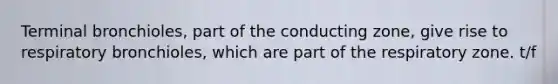 Terminal bronchioles, part of the conducting zone, give rise to respiratory bronchioles, which are part of the respiratory zone. t/f