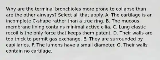 Why are the terminal bronchioles more prone to collapse than are the other airways? Select all that apply. A. The cartilage is an incomplete C-shape rather than a true ring. B. The mucous membrane lining contains minimal active cilia. C. Lung elastic recoil is the only force that keeps them patent. D. Their walls are too thick to permit gas exchange. E. They are surrounded by capillaries. F. The lumens have a small diameter. G. Their walls contain no cartilage.