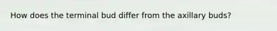 How does the terminal bud differ from the axillary buds?
