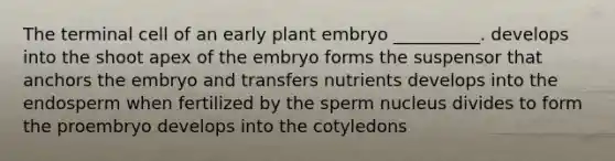 The terminal cell of an early plant embryo __________. develops into the shoot apex of the embryo forms the suspensor that anchors the embryo and transfers nutrients develops into the endosperm when fertilized by the sperm nucleus divides to form the proembryo develops into the cotyledons