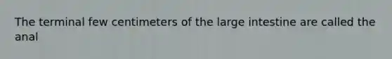 The terminal few centimeters of the <a href='https://www.questionai.com/knowledge/kGQjby07OK-large-intestine' class='anchor-knowledge'>large intestine</a> are called the anal