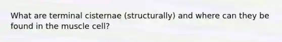 What are terminal cisternae (structurally) and where can they be found in the muscle cell?