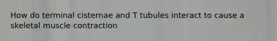 How do terminal cisternae and T tubules interact to cause a skeletal muscle contraction