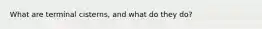 What are terminal cisterns, and what do they do?