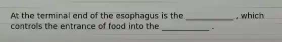 At the terminal end of <a href='https://www.questionai.com/knowledge/kSjVhaa9qF-the-esophagus' class='anchor-knowledge'>the esophagus</a> is the ____________ , which controls the entrance of food into the ____________ .