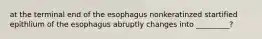 at the terminal end of the esophagus nonkeratinzed startified epithlium of the esophagus abruptly changes into _________?