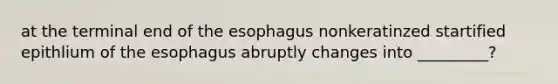 at the terminal end of the esophagus nonkeratinzed startified epithlium of the esophagus abruptly changes into _________?