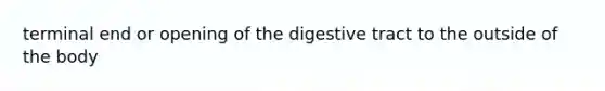 terminal end or opening of the digestive tract to the outside of the body