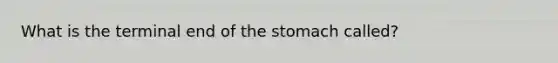 What is the terminal end of the stomach called?