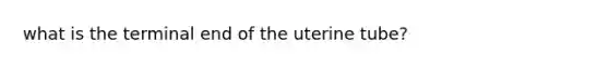 what is the terminal end of the uterine tube?