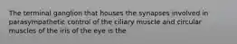 The terminal ganglion that houses the synapses involved in parasympathetic control of the ciliary muscle and circular muscles of the iris of the eye is the