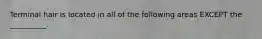 Terminal hair is located in all of the following areas EXCEPT the __________.