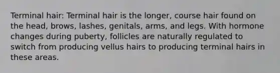 Terminal hair: Terminal hair is the longer, course hair found on the head, brows, lashes, genitals, arms, and legs. With hormone changes during puberty, follicles are naturally regulated to switch from producing vellus hairs to producing terminal hairs in these areas.