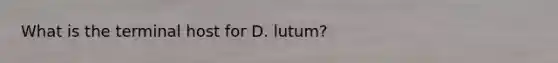 What is the terminal host for D. lutum?