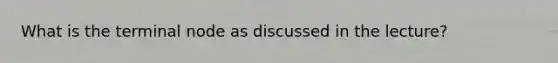 What is the terminal node as discussed in the lecture?