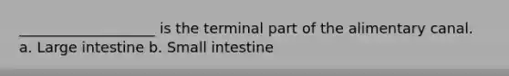 ___________________ is the terminal part of the alimentary canal. a. Large intestine b. Small intestine