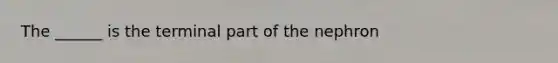 The ______ is the terminal part of the nephron